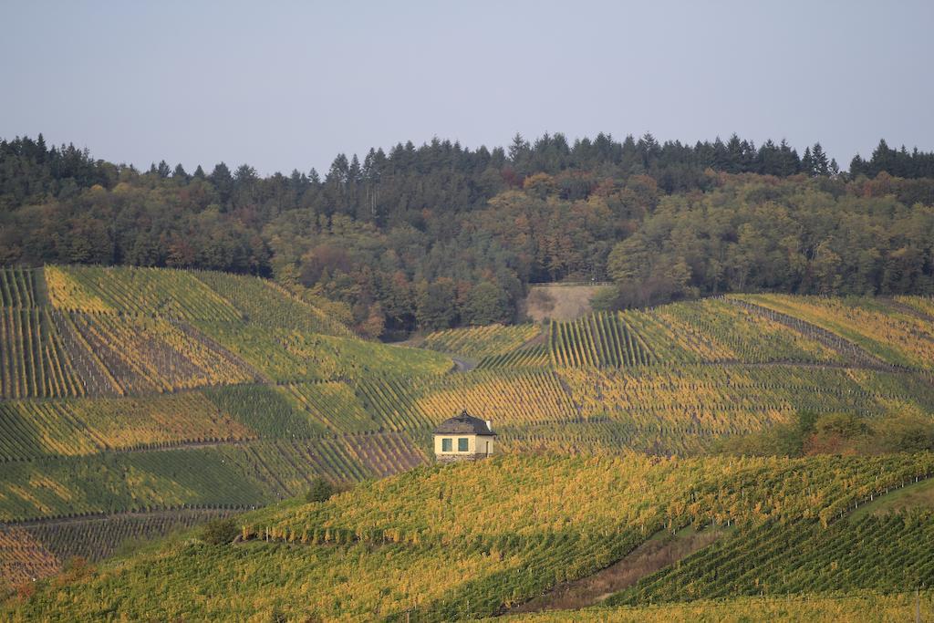 Hotel Zur Post Mulheim an der Mosel Exterior photo